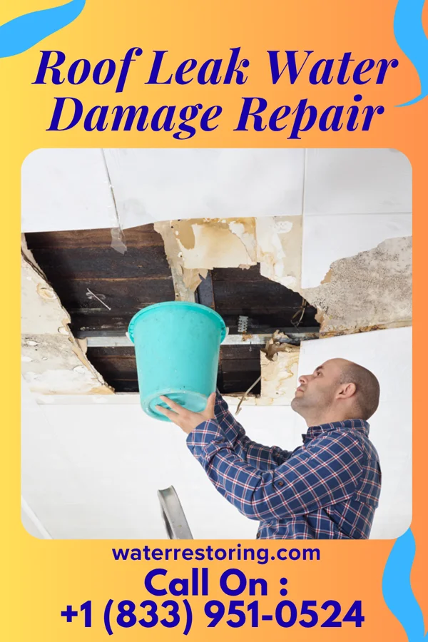Roof Leak Water Damage Repair in Hoberg, MO
