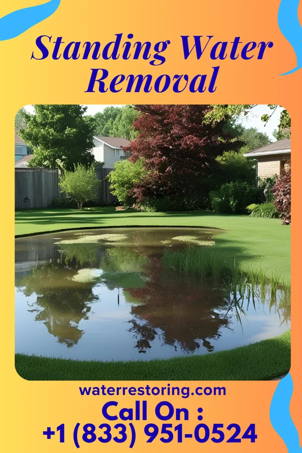 Standing Water Removal in Hoberg, MO